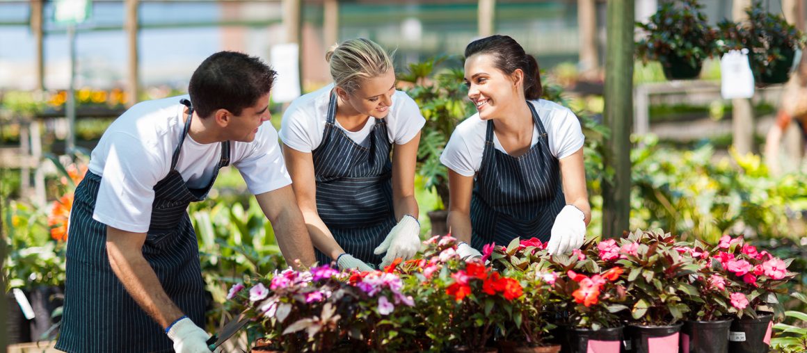 Flowers in your garden. The best sorts of flowers for outdoors.